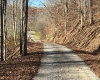 TBD Mud Lick Road, Roanoke, West Virginia 26447, ,Lots/land,For Sale,Mud Lick,10157133