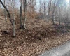 TBD Mud Lick Road, Roanoke, West Virginia 26447, ,Lots/land,For Sale,Mud Lick,10157133