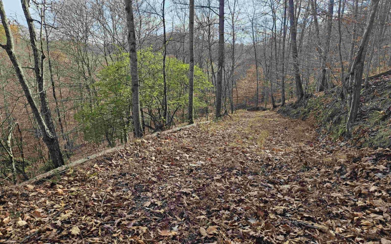 0 Majestic Heights, Sod, West Virginia 25564, ,Lots/land,For Sale,Majestic,10157143