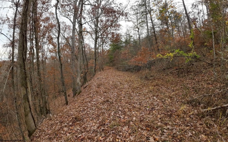 0 Majestic Heights, Sod, West Virginia 25564, ,Lots/land,For Sale,Majestic,10157143