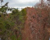 0 Majestic Heights, Sod, West Virginia 25564, ,Lots/land,For Sale,Majestic,10157143