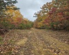 0 Majestic Heights, Sod, West Virginia 25564, ,Lots/land,For Sale,Majestic,10157143