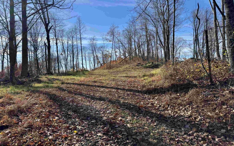 255 Fanghorn Lane, Shinnston, West Virginia 26431, ,Lots/land,For Sale,Fanghorn,10157156