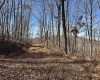 255 Fanghorn Lane, Shinnston, West Virginia 26431, ,Lots/land,For Sale,Fanghorn,10157156