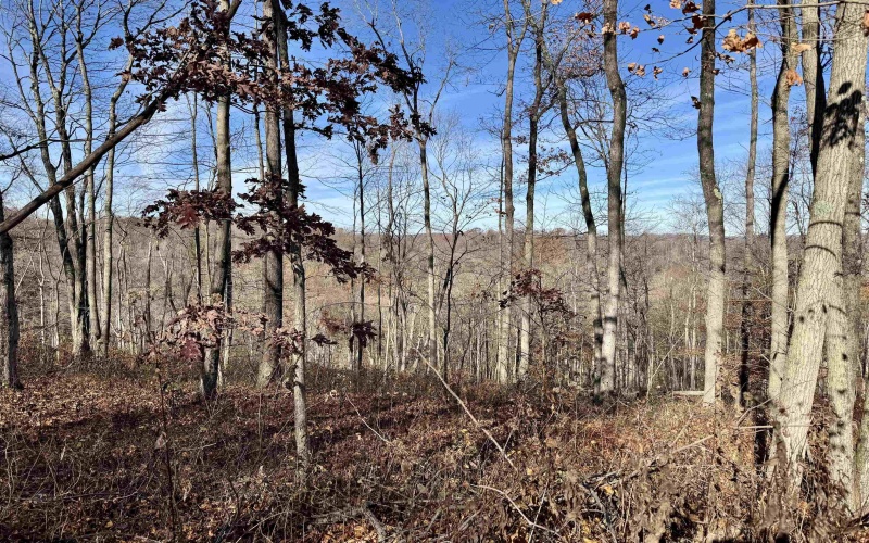 255 Fanghorn Lane, Shinnston, West Virginia 26431, ,Lots/land,For Sale,Fanghorn,10157156