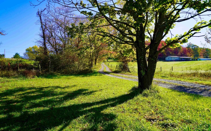 1056 Arnold Hill Road, Elkins, West Virginia 26241, 10 Bedrooms Bedrooms, 24 Rooms Rooms,6 BathroomsBathrooms,Single Family Detached,For Sale,Arnold Hill,10157151