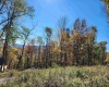 22 Meadows Road, Harman, West Virginia 26270, ,Lots/land,For Sale,Meadows,10157158