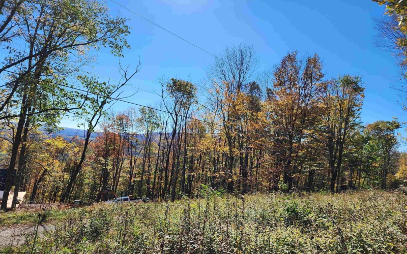 22 Meadows Road, Harman, West Virginia 26270, ,Lots/land,For Sale,Meadows,10157158