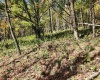 22 Meadows Road, Harman, West Virginia 26270, ,Lots/land,For Sale,Meadows,10157158