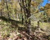 22 Meadows Road, Harman, West Virginia 26270, ,Lots/land,For Sale,Meadows,10157158