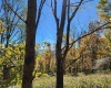 22 Meadows Road, Harman, West Virginia 26270, ,Lots/land,For Sale,Meadows,10157158
