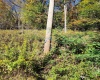 22 Meadows Road, Harman, West Virginia 26270, ,Lots/land,For Sale,Meadows,10157158