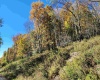 22 Meadows Road, Harman, West Virginia 26270, ,Lots/land,For Sale,Meadows,10157158