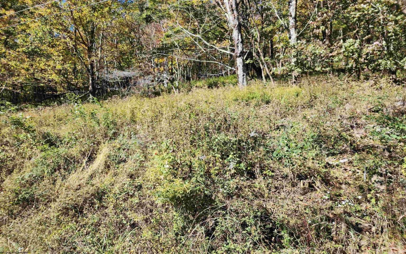 22 Meadows Road, Harman, West Virginia 26270, ,Lots/land,For Sale,Meadows,10157158
