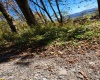 22 Meadows Road, Harman, West Virginia 26270, ,Lots/land,For Sale,Meadows,10157158