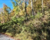 22 Meadows Road, Harman, West Virginia 26270, ,Lots/land,For Sale,Meadows,10157158
