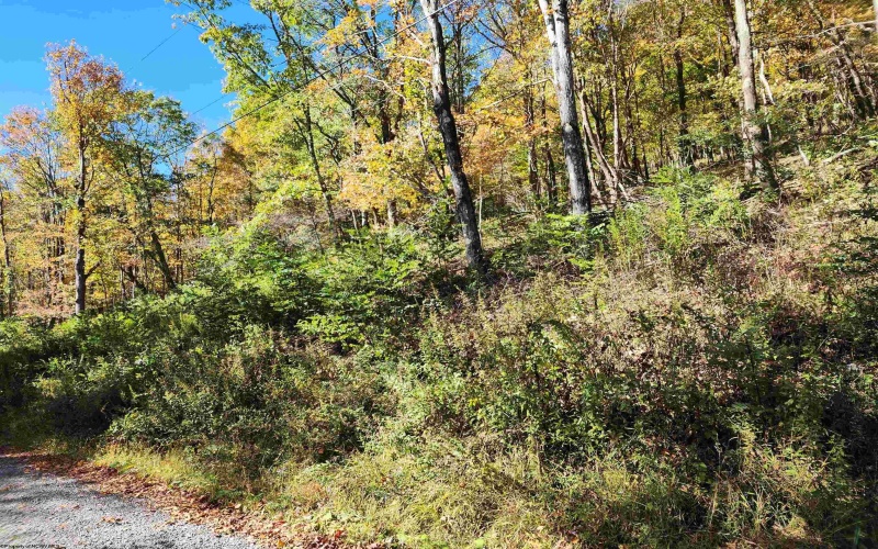 22 Meadows Road, Harman, West Virginia 26270, ,Lots/land,For Sale,Meadows,10157158