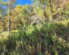 22 Meadows Road, Harman, West Virginia 26270, ,Lots/land,For Sale,Meadows,10157158