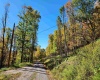 22 Meadows Road, Harman, West Virginia 26270, ,Lots/land,For Sale,Meadows,10157158