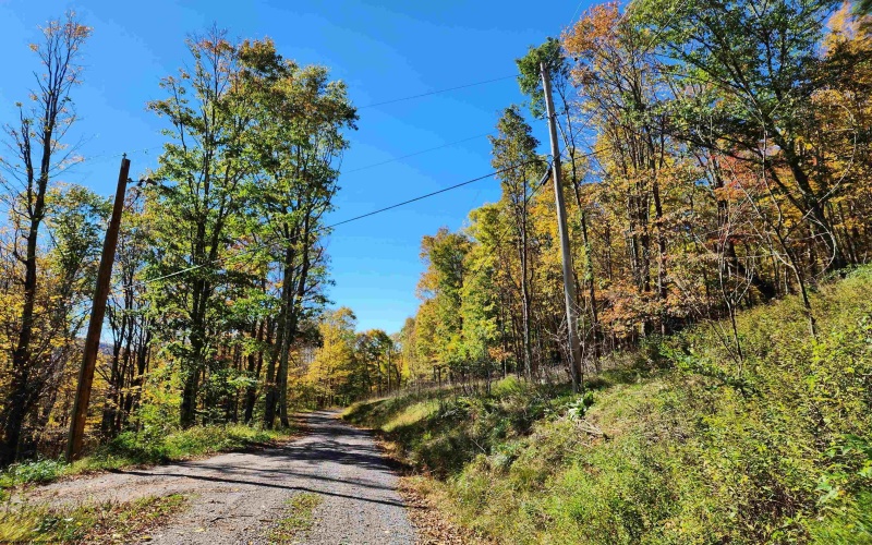 22 Meadows Road, Harman, West Virginia 26270, ,Lots/land,For Sale,Meadows,10157158