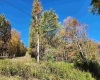 22 Meadows Road, Harman, West Virginia 26270, ,Lots/land,For Sale,Meadows,10157158