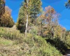 22 Meadows Road, Harman, West Virginia 26270, ,Lots/land,For Sale,Meadows,10157158