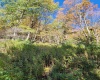 22 Meadows Road, Harman, West Virginia 26270, ,Lots/land,For Sale,Meadows,10157158