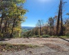 22 Meadows Road, Harman, West Virginia 26270, ,Lots/land,For Sale,Meadows,10157158