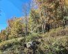 22 Meadows Road, Harman, West Virginia 26270, ,Lots/land,For Sale,Meadows,10157158
