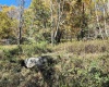 22 Meadows Road, Harman, West Virginia 26270, ,Lots/land,For Sale,Meadows,10157158