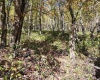 22 Meadows Road, Harman, West Virginia 26270, ,Lots/land,For Sale,Meadows,10157158