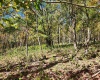 22 Meadows Road, Harman, West Virginia 26270, ,Lots/land,For Sale,Meadows,10157158