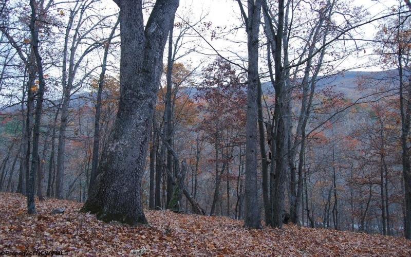 TBD Lockinger Ridge Road, Moorefield, West Virginia 26836, ,Lots/land,For Sale,Lockinger Ridge,10157161