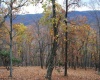 TBD Lockinger Ridge Road, Moorefield, West Virginia 26836, ,Lots/land,For Sale,Lockinger Ridge,10157161