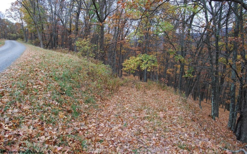 TBD Lockinger Ridge Road, Moorefield, West Virginia 26836, ,Lots/land,For Sale,Lockinger Ridge,10157161