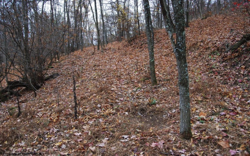 TBD Lockinger Ridge Road, Moorefield, West Virginia 26836, ,Lots/land,For Sale,Lockinger Ridge,10157161