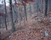 TBD Lockinger Ridge Road, Moorefield, West Virginia 26836, ,Lots/land,For Sale,Lockinger Ridge,10157161