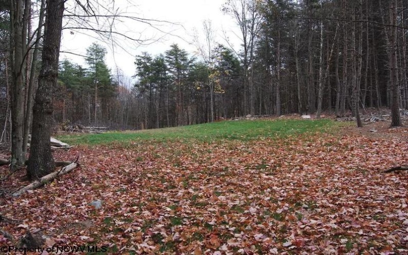 TBD Black Oak Drive, Moorefield, West Virginia 26836, ,Lots/land,For Sale,Black Oak,10157162