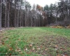 TBD Black Oak Drive, Moorefield, West Virginia 26836, ,Lots/land,For Sale,Black Oak,10157162