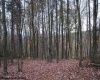 TBD Black Oak Drive, Moorefield, West Virginia 26836, ,Lots/land,For Sale,Black Oak,10157162