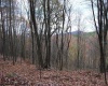 TBD Black Oak Drive, Moorefield, West Virginia 26836, ,Lots/land,For Sale,Black Oak,10157162