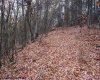 TBD Black Oak Drive, Moorefield, West Virginia 26836, ,Lots/land,For Sale,Black Oak,10157162