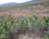 TBD Black Oak Drive, Moorefield, West Virginia 26836, ,Lots/land,For Sale,Black Oak,10157162