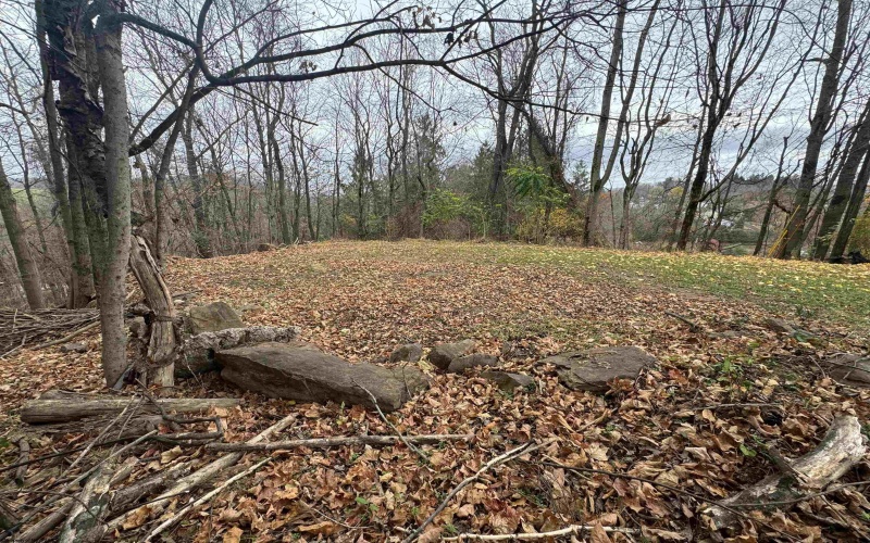 Lot 90-91 Schaeffer Street, Kingwood, West Virginia 26537, ,Lots/land,For Sale,Schaeffer,10157175