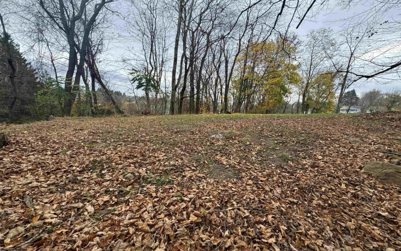 Lot 90-91 Schaeffer Street, Kingwood, West Virginia 26537, ,Lots/land,For Sale,Schaeffer,10157175