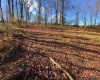 0 Upper Childers Run Road, Buckhannon, West Virginia 26201, ,Lots/land,For Sale,Upper Childers Run,10157172