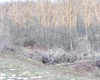 0 Upper Childers Run Road, Buckhannon, West Virginia 26201, ,Lots/land,For Sale,Upper Childers Run,10157172