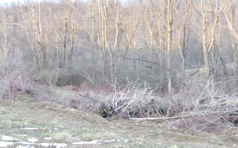 0 Upper Childers Run Road, Buckhannon, West Virginia 26201, ,Lots/land,For Sale,Upper Childers Run,10157172