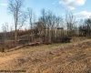 0 Upper Childers Run Road, Buckhannon, West Virginia 26201, ,Lots/land,For Sale,Upper Childers Run,10157172