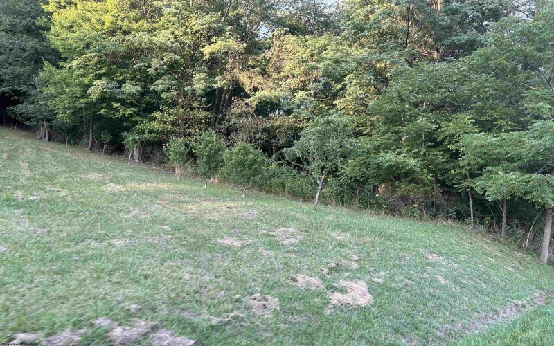 TBD Planing Mill Street, Belington, West Virginia 26250, ,Lots/land,For Sale,Planing Mill,10157193